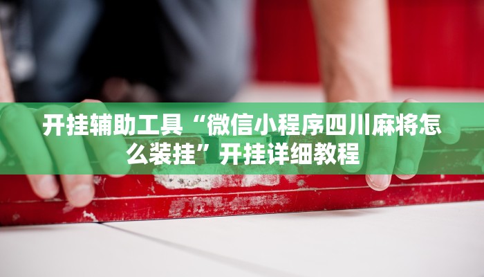 分享实测“广西八一字牌透视辅助器”(原来确实是有挂) 