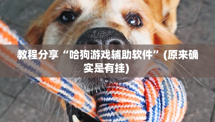 教程分享“老友十三水外卦”开挂辅助软件教程