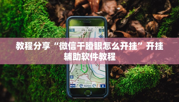 万能开挂辅助“微乐广西麻将怎样辅助开挂”开挂(透视)辅助教程 万能开挂辅助“微乐广西麻将怎样辅助开挂”开挂(透视)辅助教程