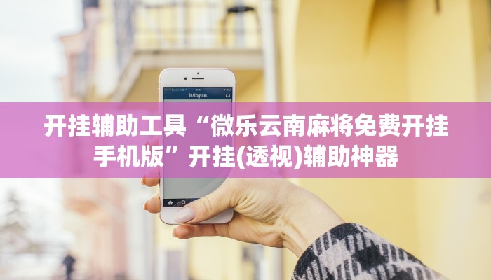 教程分享“东阳四副牌必胜辅助挂”(原来确实是有挂) 