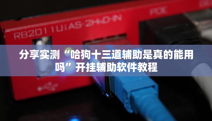 分享实测“哈狗十三道辅助是真的能用吗”开挂辅助软件教程