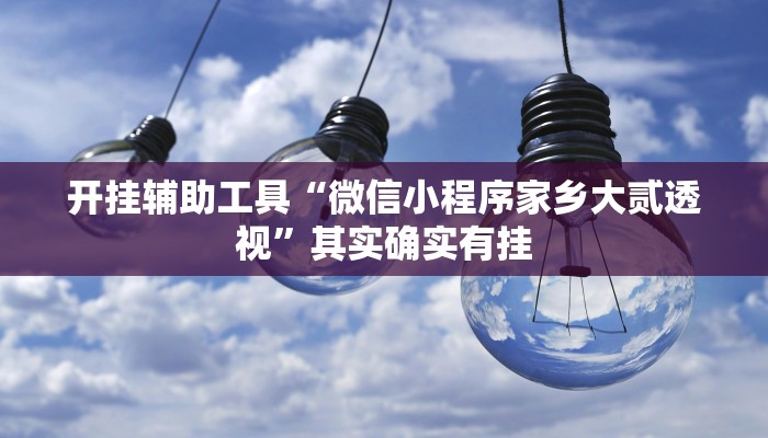 开挂辅助工具“微信小程序家乡大贰透视”其实确实有挂