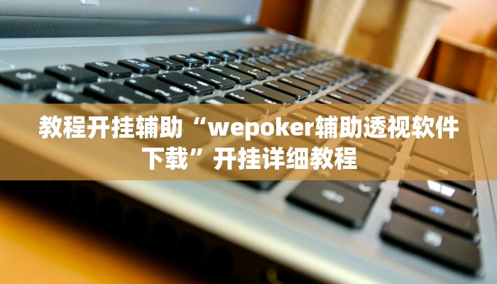 教程开挂辅助“wepoker辅助透视软件下载”开挂详细教程