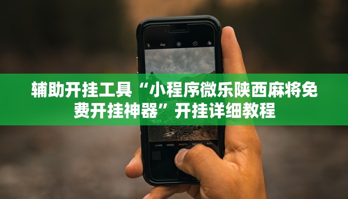 开挂辅助工具“卡米大厅透视挂”开挂详细教程