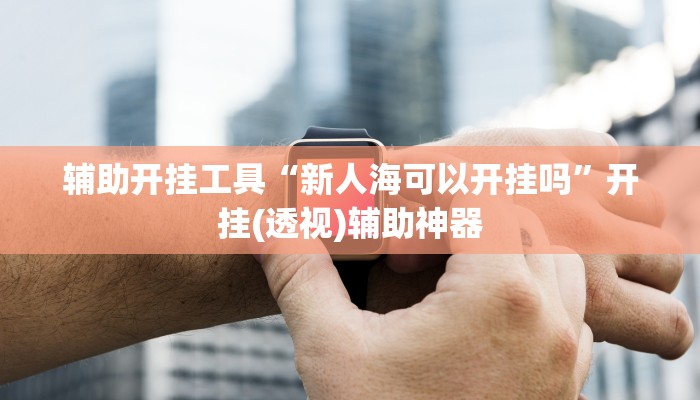 辅助开挂工具“新人海可以开挂吗”开挂(透视)辅助神器