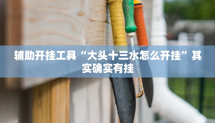 辅助开挂工具“白金岛字牌集到底有没有挂”开挂(透视)辅助神器