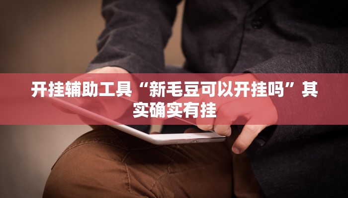 开挂辅助工具“新毛豆可以开挂吗”其实确实有挂