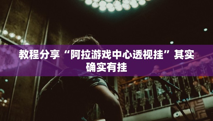 分享教程“博乐龙江填大坑透视”开挂(透视)辅助神器