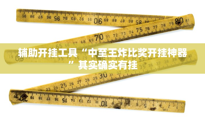 辅助开挂工具“中至王炸比奖开挂神器”其实确实有挂