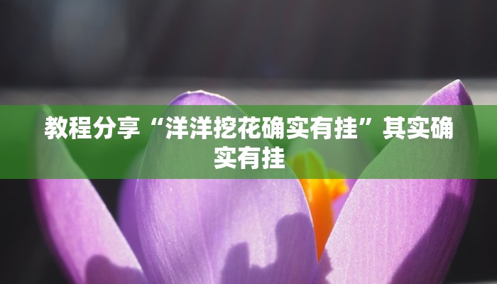 教程分享“洋洋挖花确实有挂”其实确实有挂