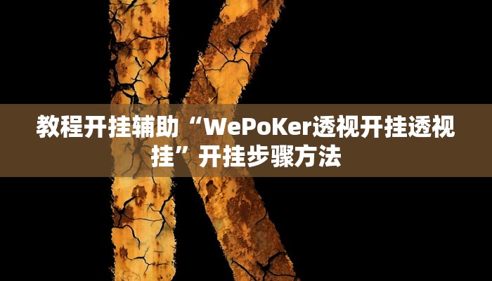 教程开挂辅助“WePoKer透视开挂透视挂”开挂步骤方法