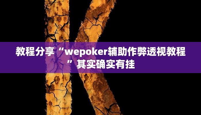 教程分享“wepoker辅助作弊透视教程”其实确实有挂
