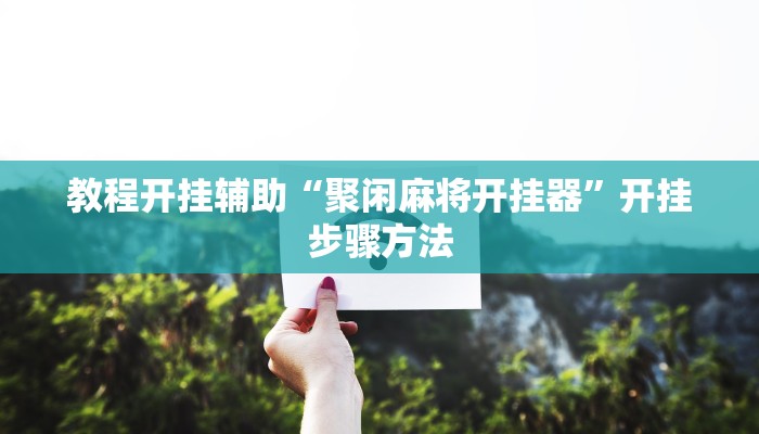 开挂辅助工具“德扑之星辅助挂透视教程”(详细开挂教程)