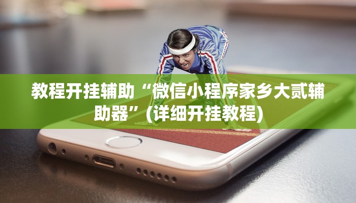 教程开挂辅助“微信小程序家乡大贰辅助器”(详细开挂教程)