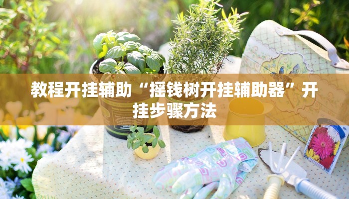 教程开挂辅助“摇钱树开挂辅助器”开挂步骤方法