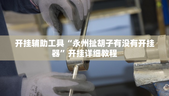 开挂辅助工具“永州扯胡子有没有开挂器”开挂详细教程