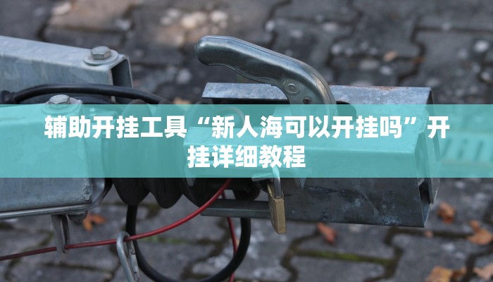 辅助开挂工具“新人海可以开挂吗”开挂详细教程