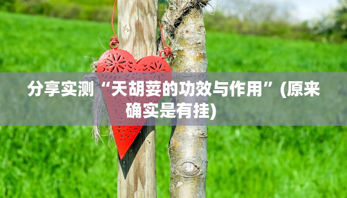 分享实测“旺旺福建麻将怎么开挂”(原来确实是有挂) 