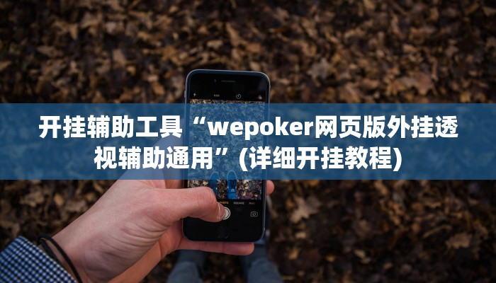 开挂辅助工具“wepoker网页版外挂透视辅助通用”(详细开挂教程)