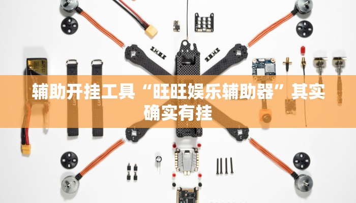 辅助开挂工具“旺旺娱乐辅助器”其实确实有挂
