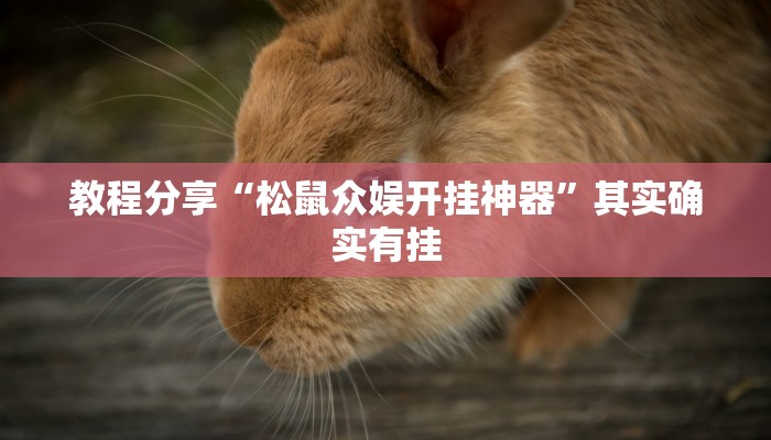 教程分享“松鼠众娱开挂神器”其实确实有挂