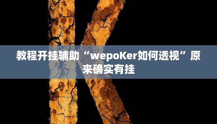 教程开挂辅助“wepoKer如何透视”原来确实有挂