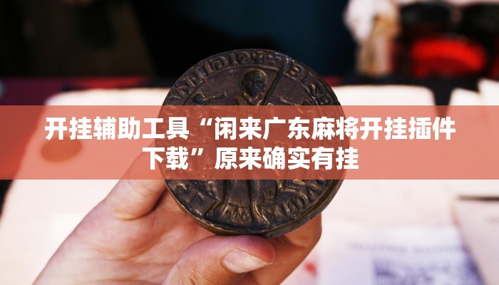 辅助开挂工具“中至鹰潭麻将怎么装开挂”其实确实有挂