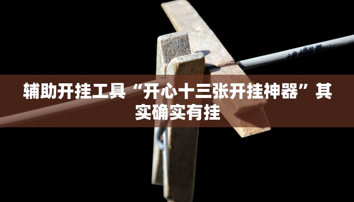 分享实测“贵阳捉鸡麻将开挂神器下载”(原来确实是有挂) 