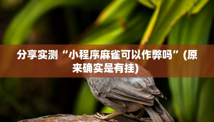 教程开挂辅助“德扑之星辅助挂透视教程”原来确实有挂