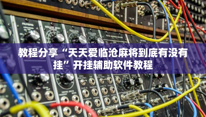 教程辅助“白金岛字牌集是怎么开挂的”其实确实有挂
