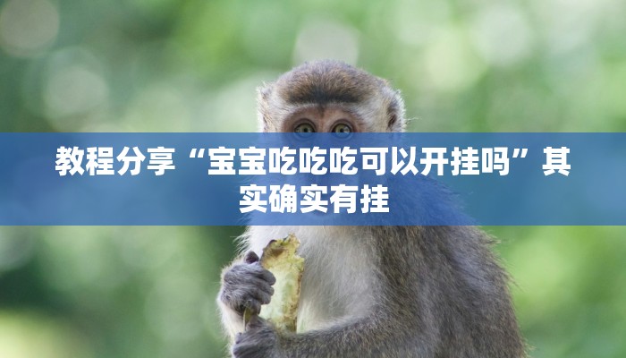 教程分享“宝宝吃吃吃可以开挂吗”其实确实有挂