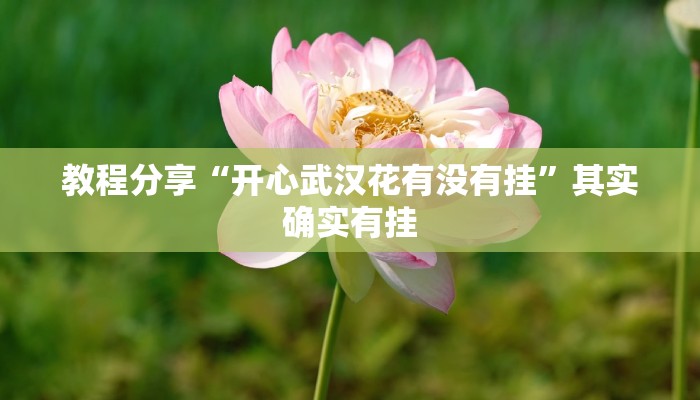 教程分享“开心武汉花有没有挂”其实确实有挂
