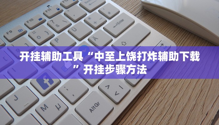 开挂辅助工具“中至上饶打炸辅助下载”开挂步骤方法