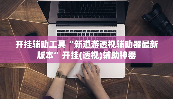 开挂辅助工具“新道游透视辅助器最新版本”开挂(透视)辅助神器