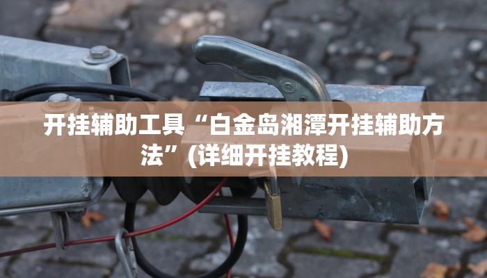 开挂辅助工具“白金岛湘潭开挂辅助方法”(详细开挂教程)