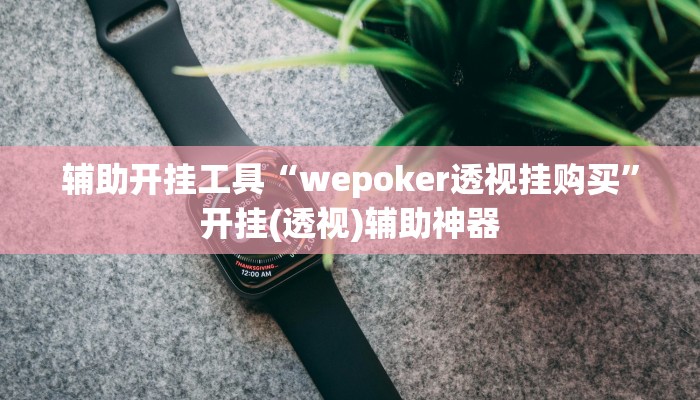辅助开挂工具“wepoker透视挂购买”开挂(透视)辅助神器