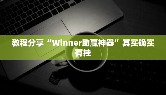 教程分享“Winner助赢神器”其实确实有挂