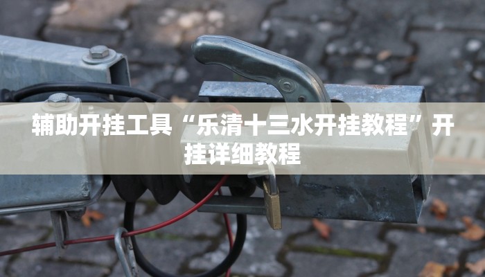 辅助开挂工具“乐清十三水开挂教程”开挂详细教程