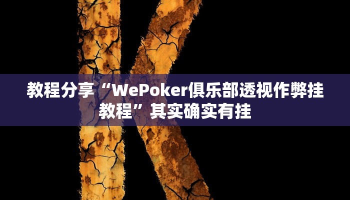 教程辅助“微乐跑得快必赢神器”其实确实有挂