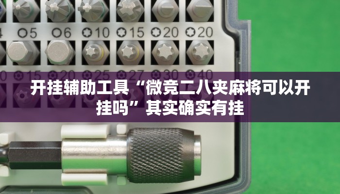 开挂辅助工具“微竞二八夹麻将可以开挂吗”其实确实有挂