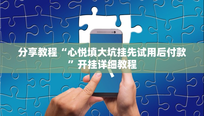 分享教程“心悦填大坑挂先试用后付款”开挂详细教程