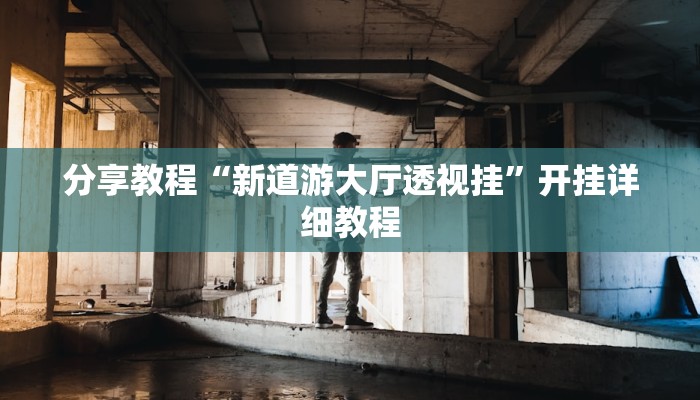 分享教程“新道游大厅透视挂”开挂详细教程