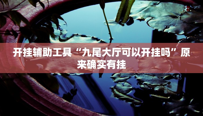 教程分享“小叮当是怎么开挂的”其实确实有挂