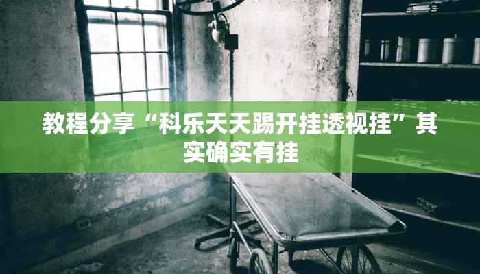 教程分享“科乐天天踢开挂透视挂”其实确实有挂