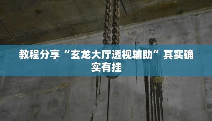 教程分享“玄龙大厅透视辅助”其实确实有挂