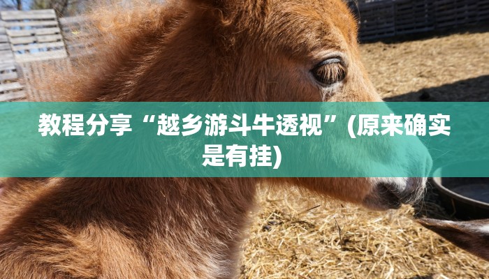 教程分享“牵手跑得快能不能开挂”其实确实有挂