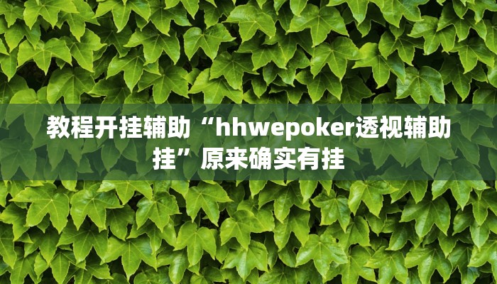 教程开挂辅助“hhwepoker透视辅助挂”原来确实有挂