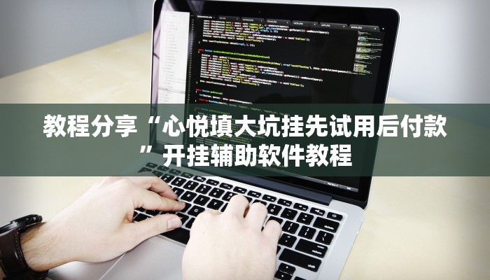 教程分享“心悦填大坑挂先试用后付款”开挂辅助软件教程