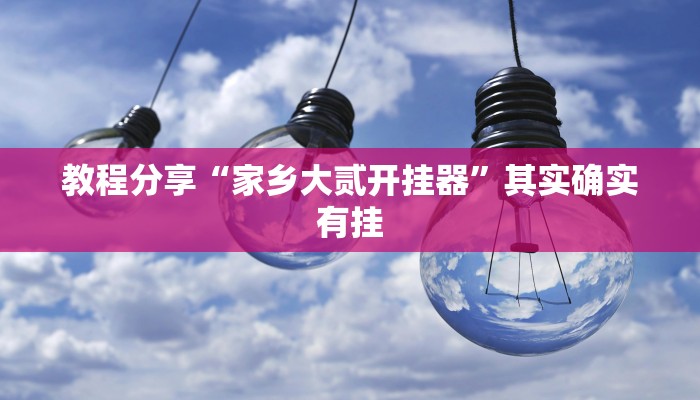 教程分享“家乡大贰开挂器”其实确实有挂