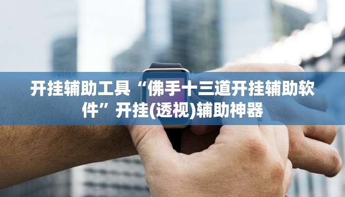 开挂辅助工具“佛手十三道开挂辅助软件”开挂(透视)辅助神器